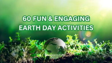 60 Fun & Engaging Earth Day Activities for All Ages in Schools 16 Earth Day Activities for All Ages in Schools